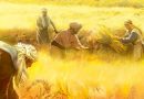 16. NEDJELJA KROZ GODINU